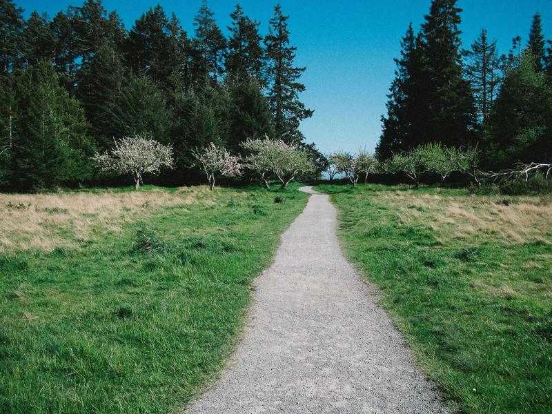 中二病没毕业<br>sybmuzg.cn 黑暗物质本垒